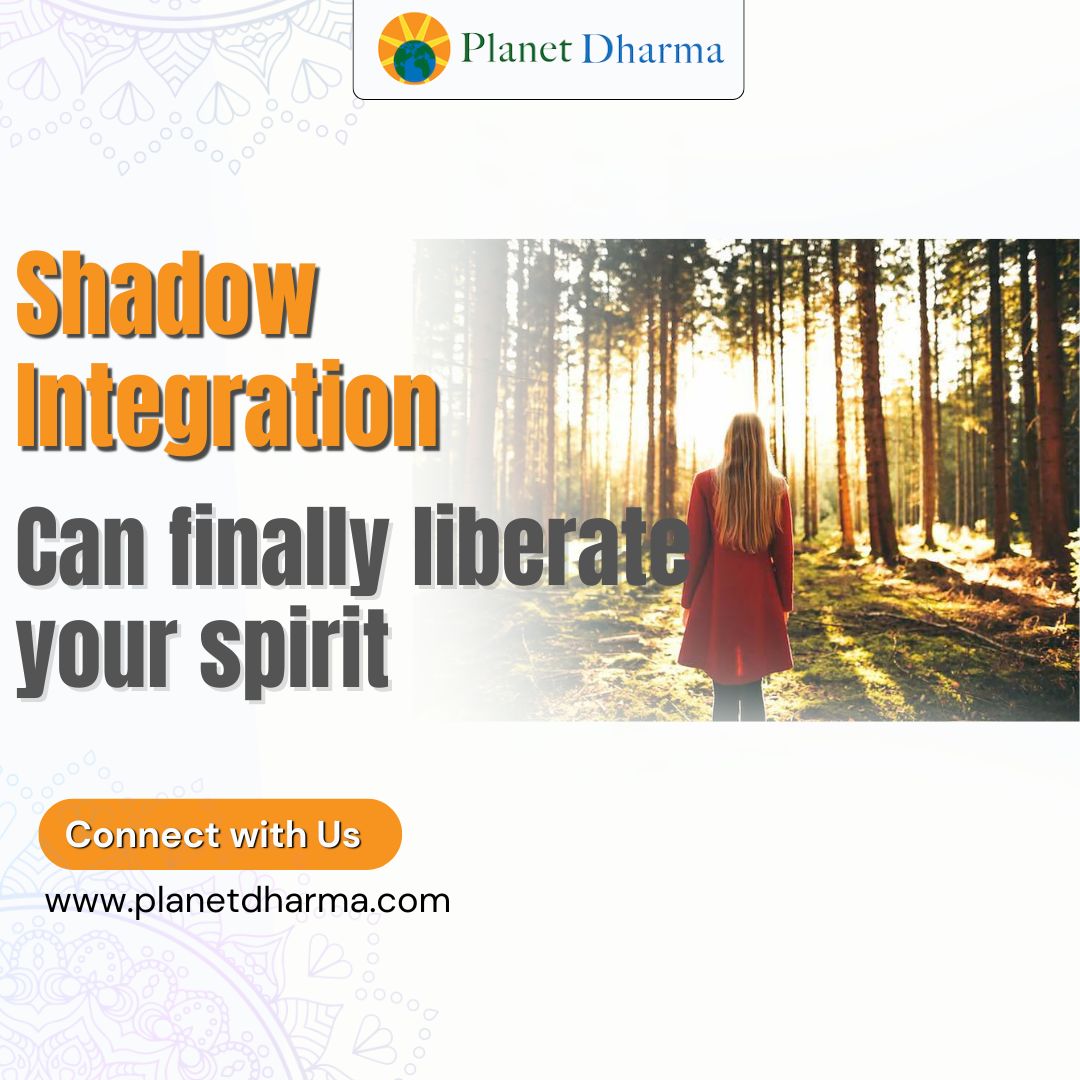 Shadow Integration