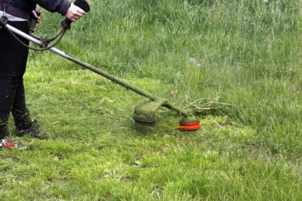 lawn fertilization