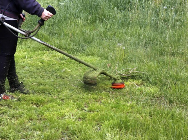 lawn fertilization