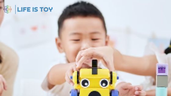 STEM Educational Toy
