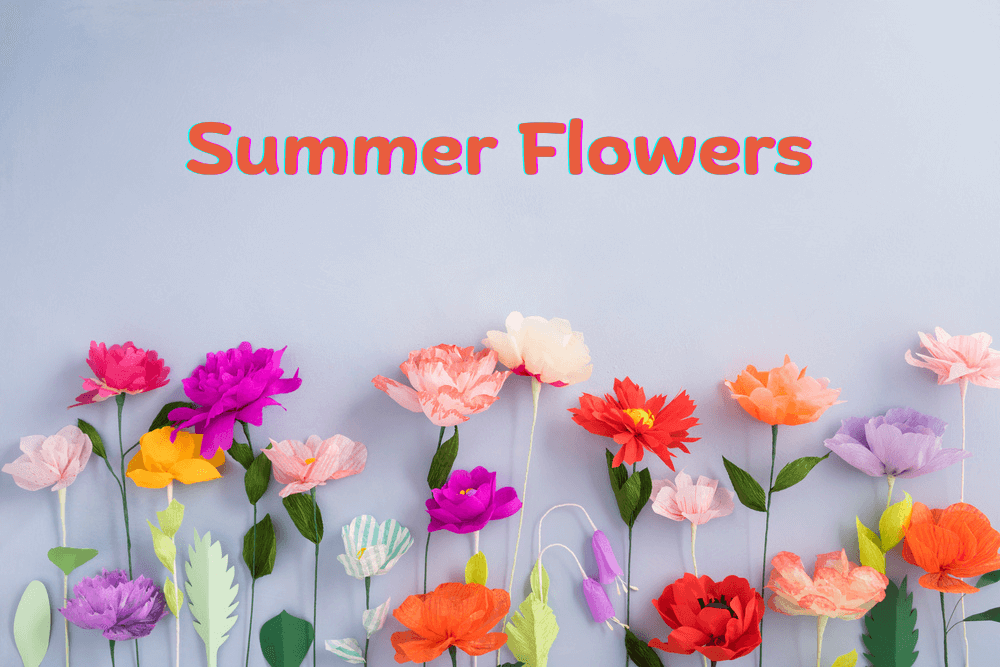 Summer Flower- Dibiaso's Florist