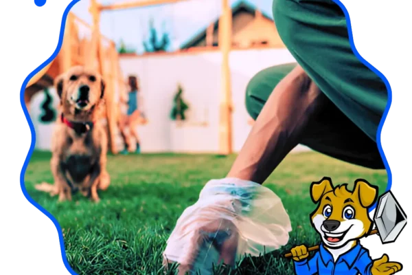 Dog poop pickup service