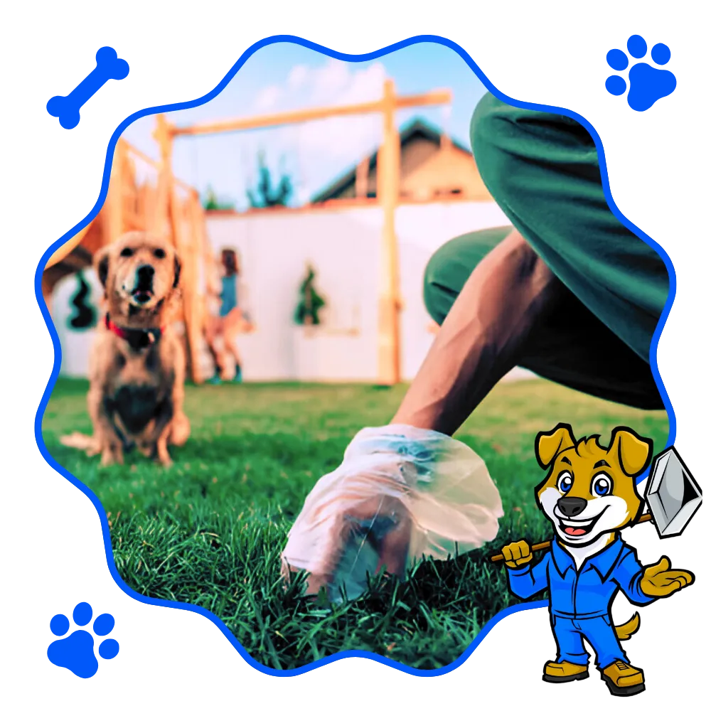 Dog poop pickup service