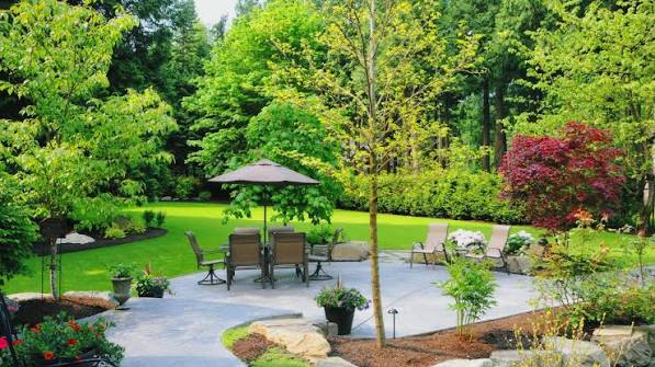 tree pruning services Colleyville TX