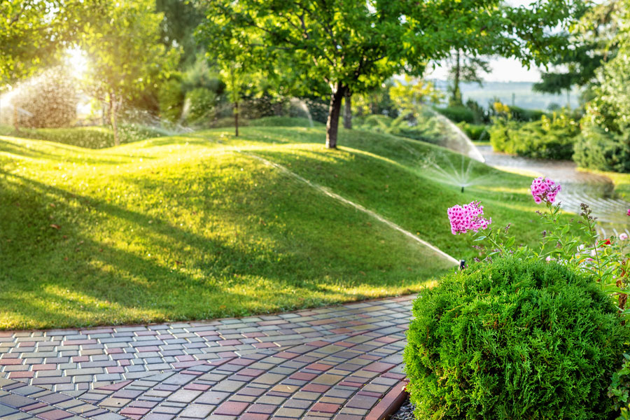 commercial landscaping services in dfw